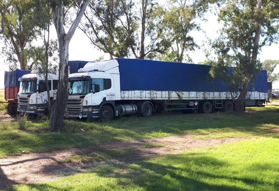 597b748a-5815-4f8a-b5b0-449797a54ce7