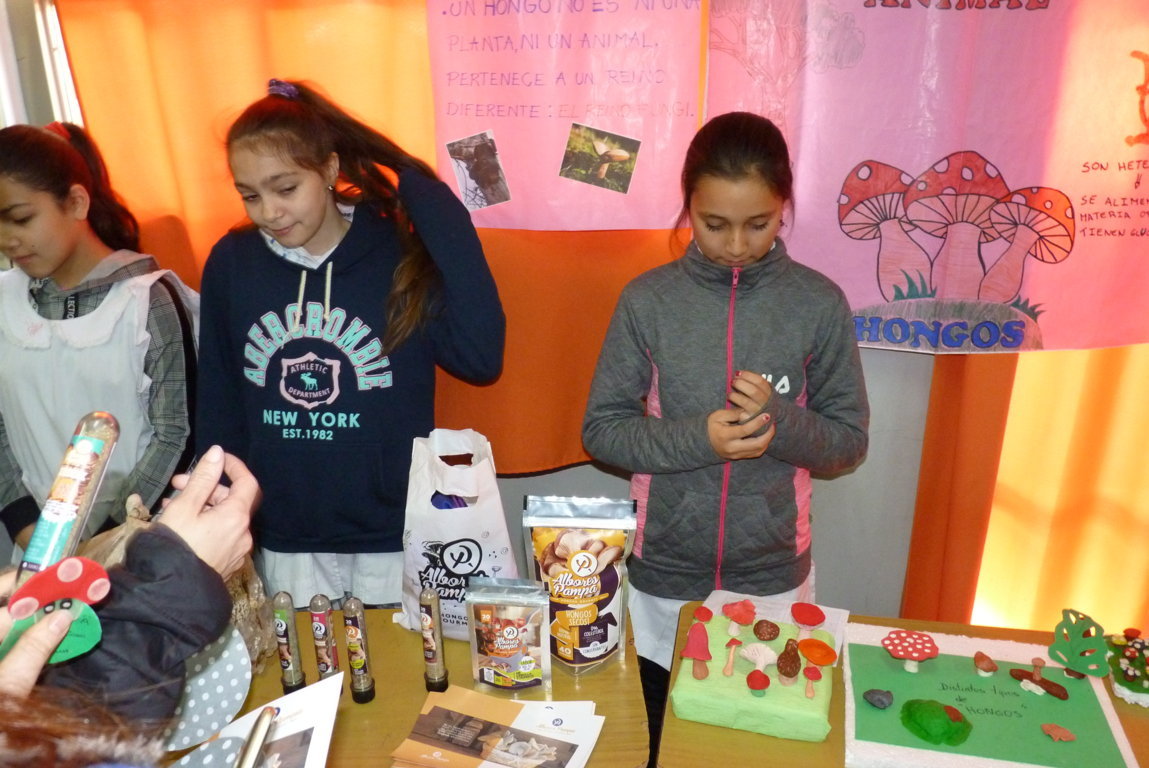 P1380500 (FILEminimizer)