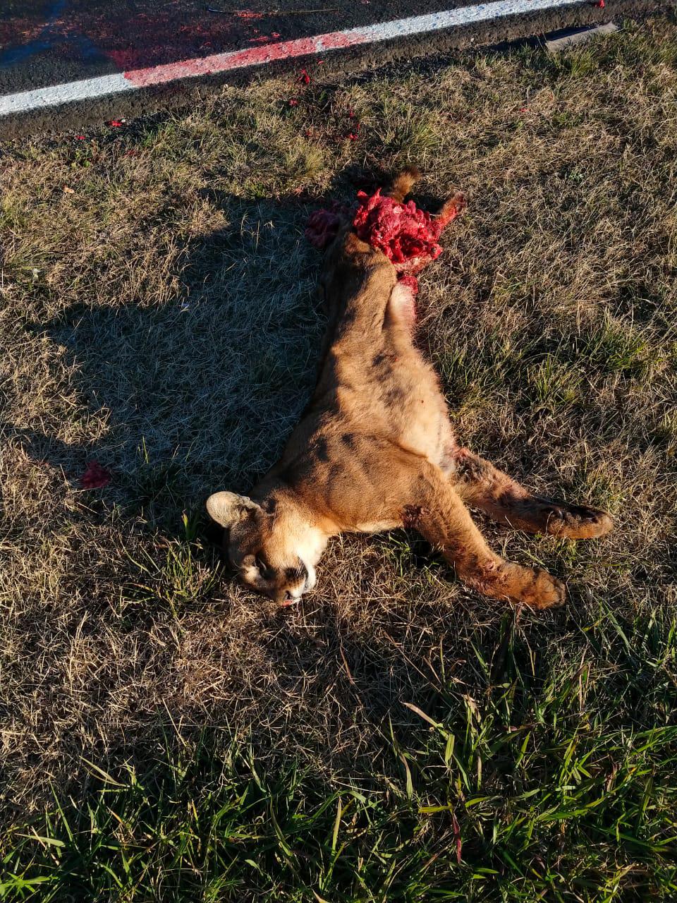 c9190349-99b5-4c56-9159-e10551ca7f7f