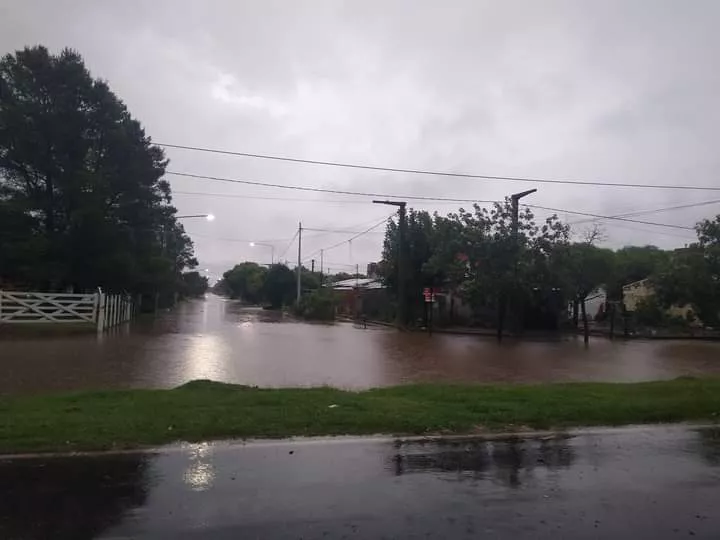 cc9b0b57-02fb-4913-8589-45f3bf93e1d0