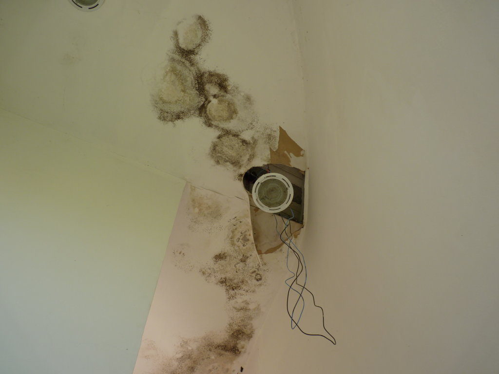 P1340803 (FILEminimizer)