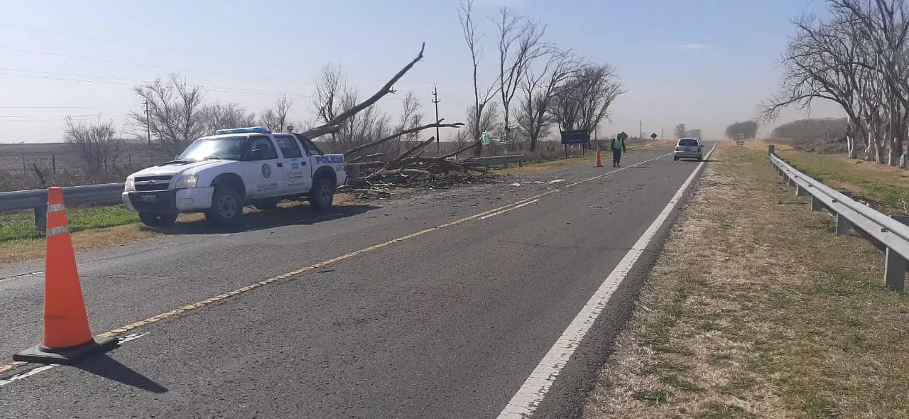 239596550_4565971336747836_9052732311359738430_n