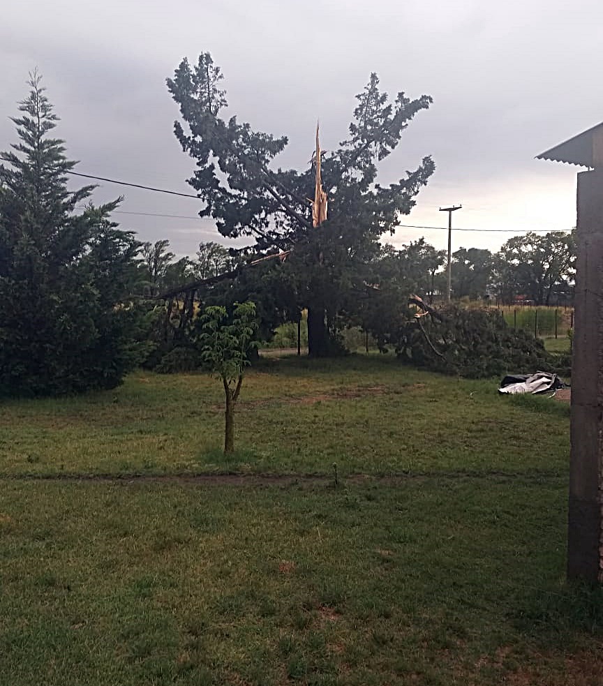 93cefa02-c3db-49f0-97a1-d4b7431ac292