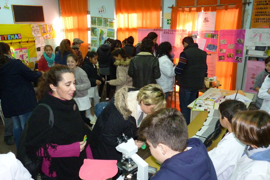 P1380497 (FILEminimizer)