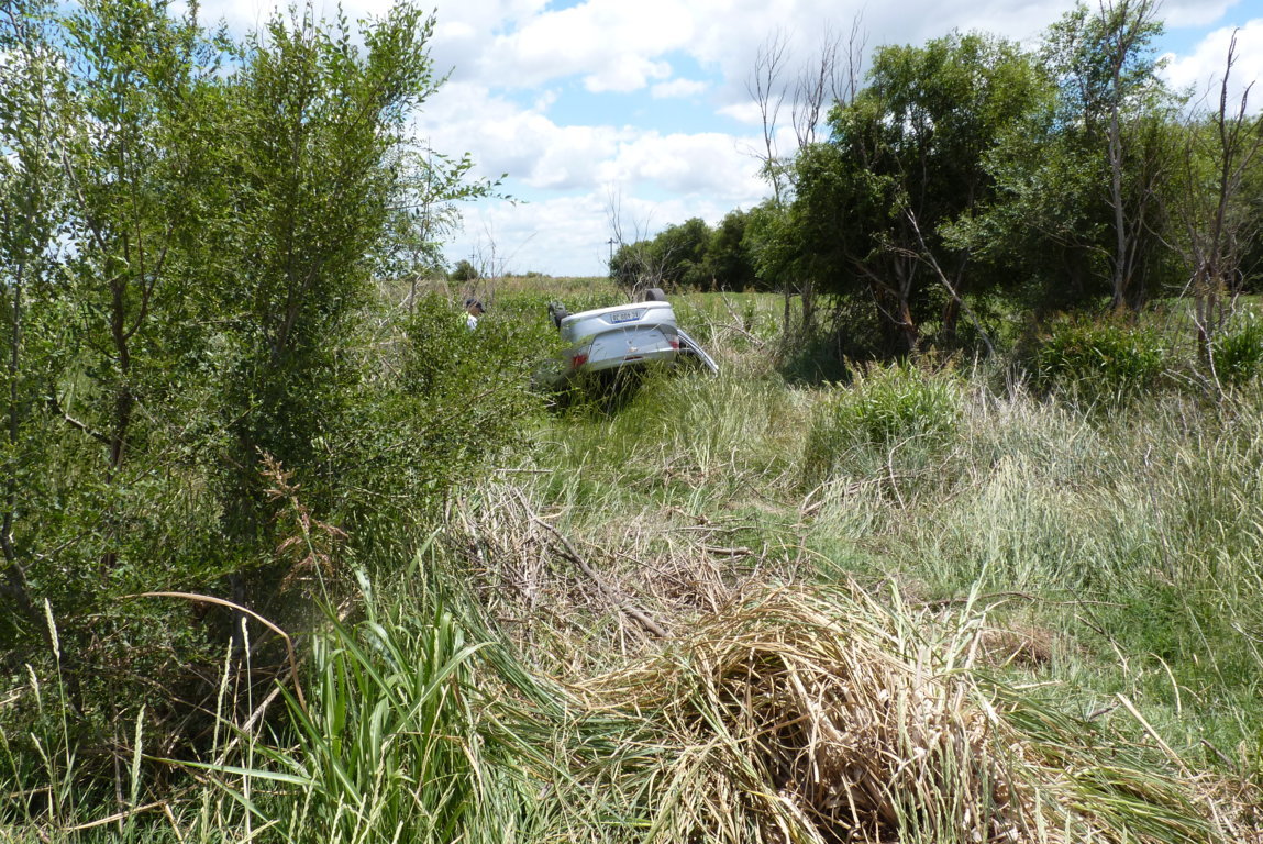 P1460148 (FILEminimizer)