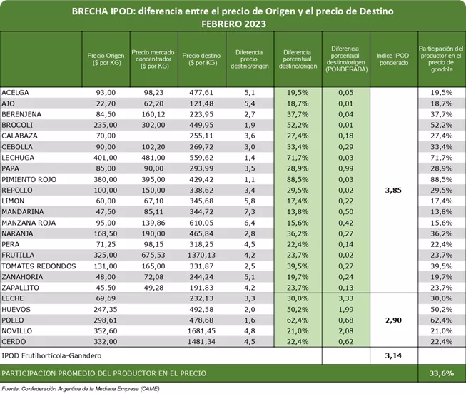 GRAFICO UNO CAME FEBRERO 4