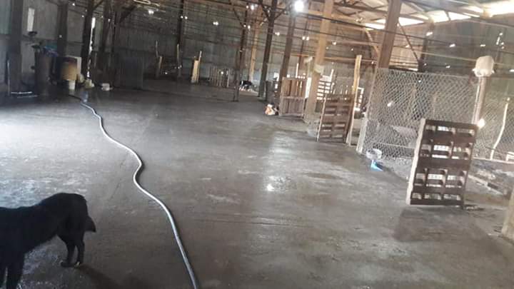 f0f85b94-9cfd-47c2-a4c7-7f8a44cdd095