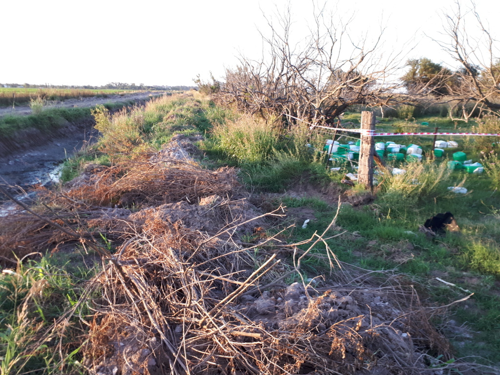 20200207_195346 (FILEminimizer)