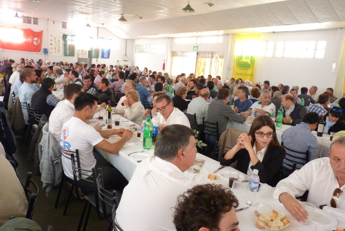 P1410816 (FILEminimizer)