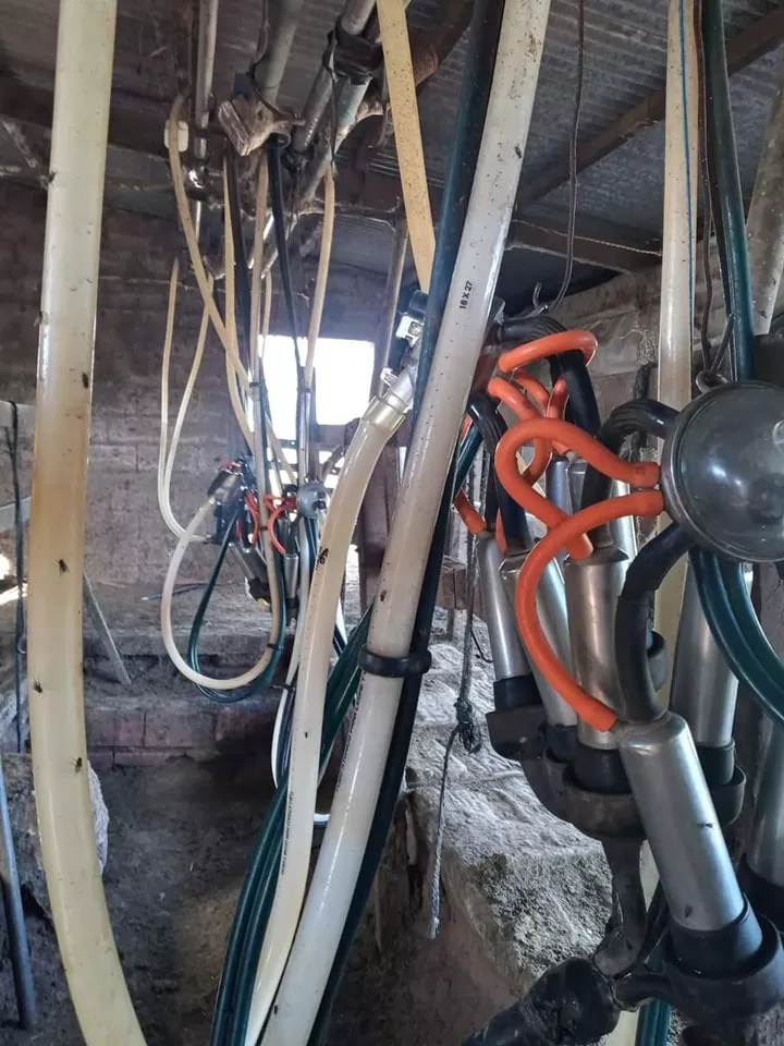 330984409_866461814461317_1821737963651199562_n