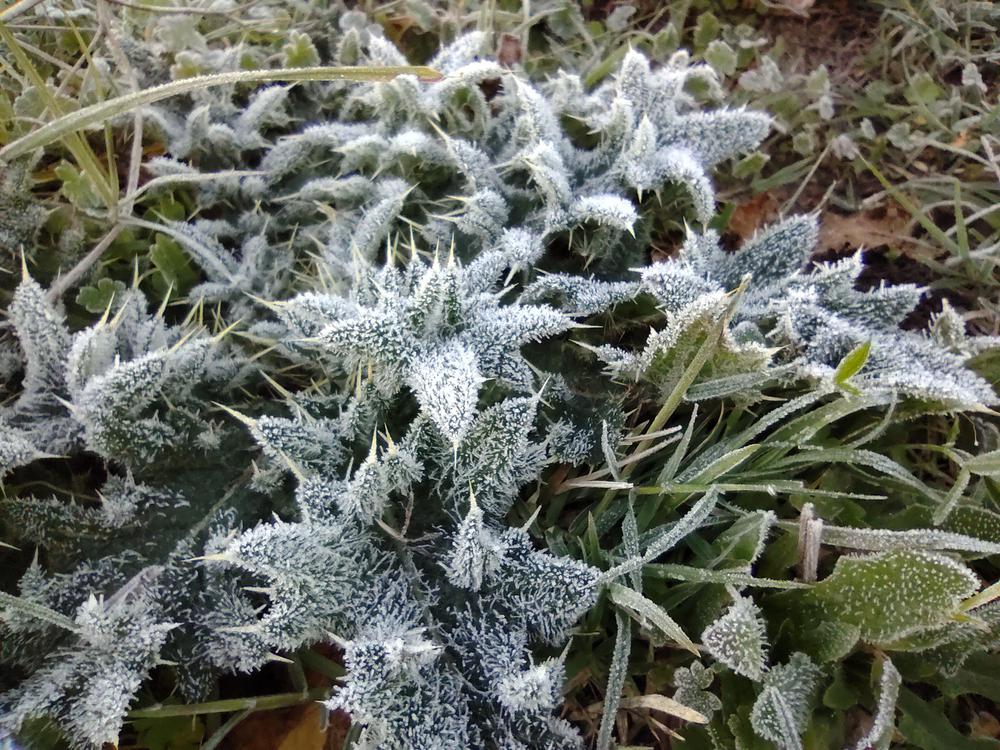 IMG_20210505_080623075