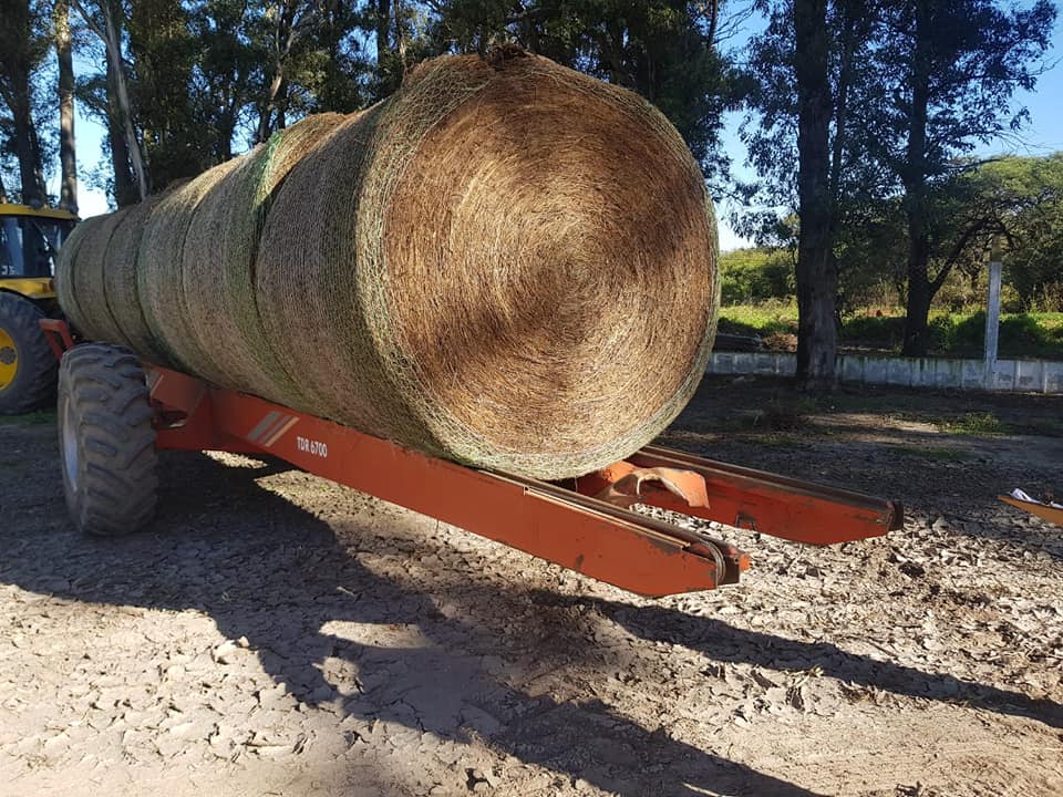 60547136_2465847173447742_2773716182136520704_n