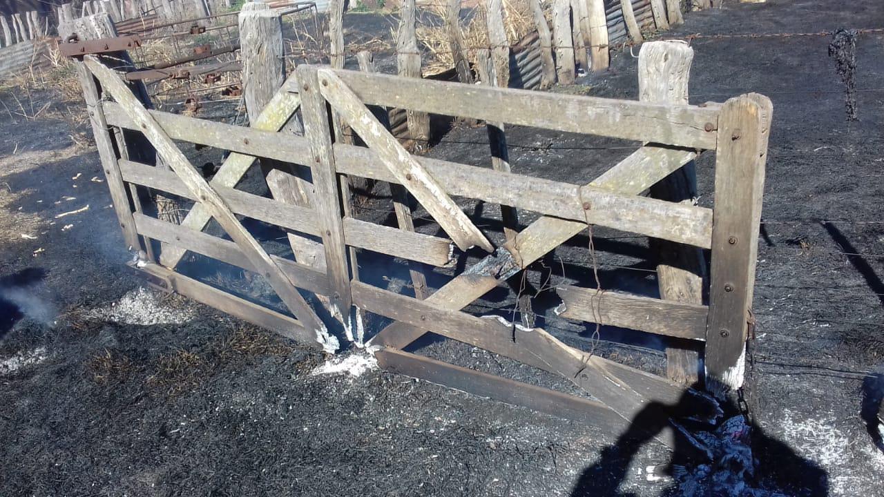 f1774a91-51ad-48b7-a78f-bbf86527569f