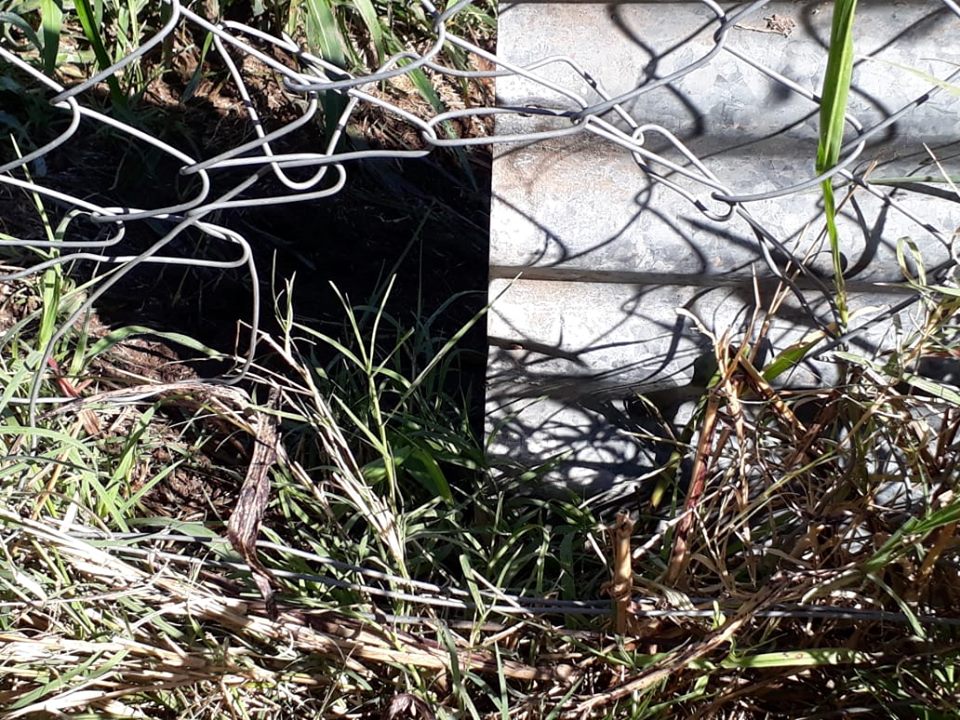 58818382_2105835739515731_5297634321853579264_n