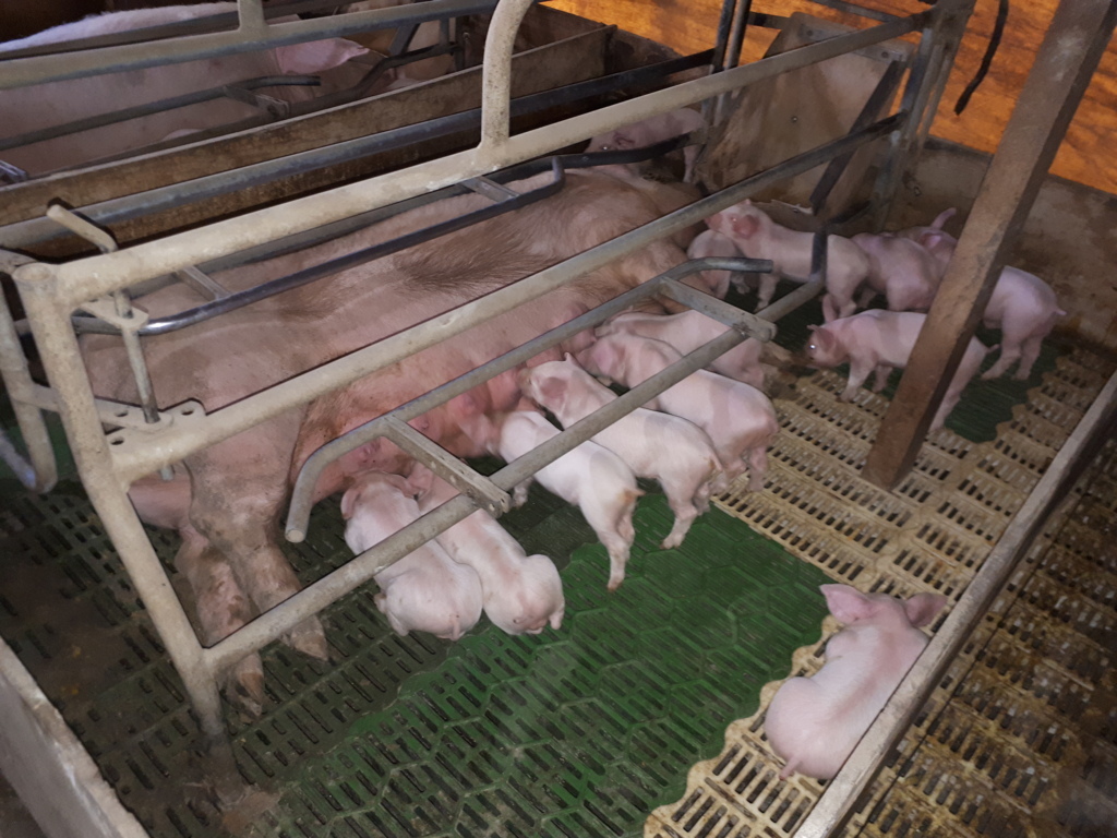 20191008_133501 (FILEminimizer)