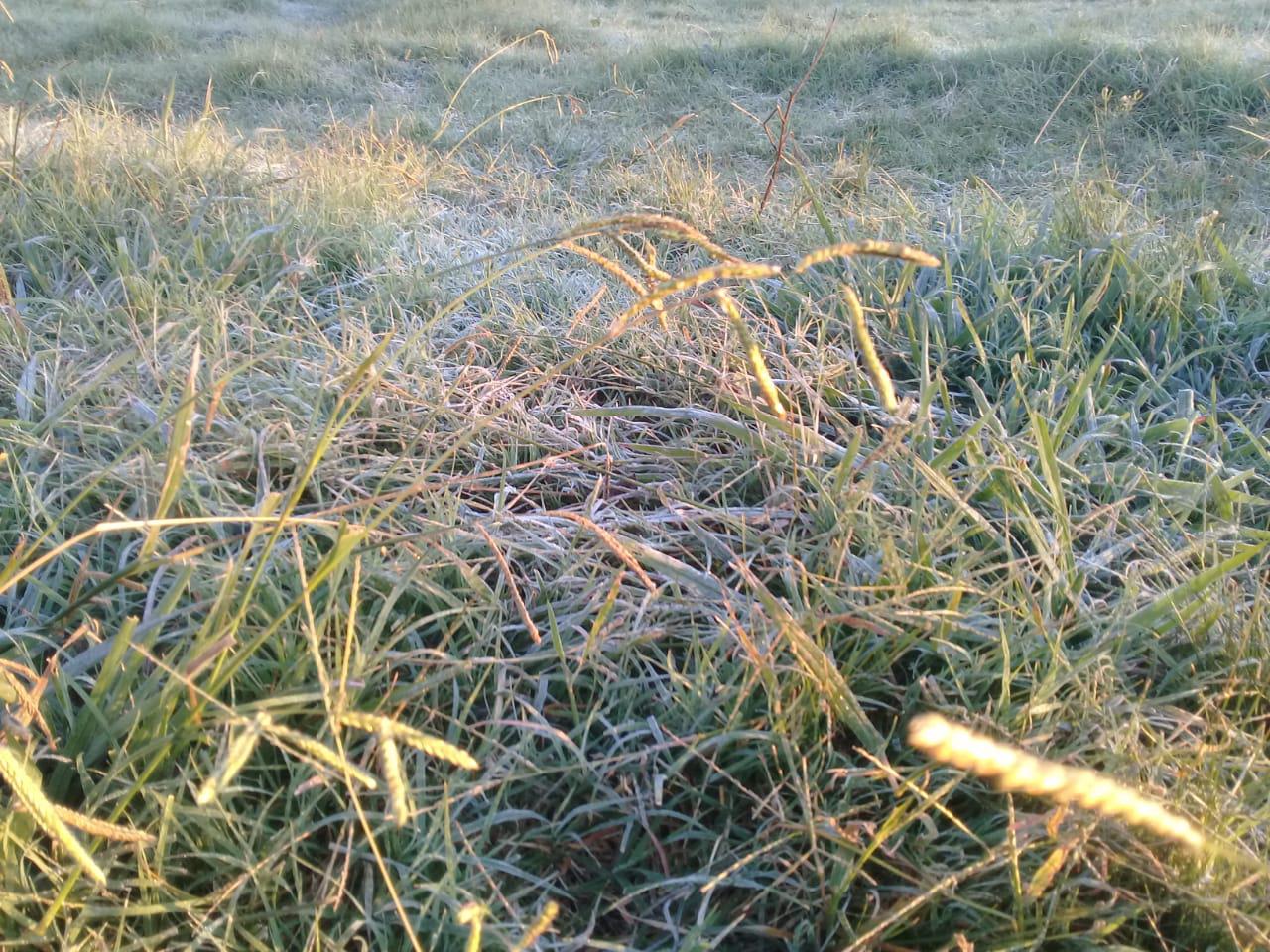 2295b2a5-8a88-427b-9e03-3d50644d3bc4