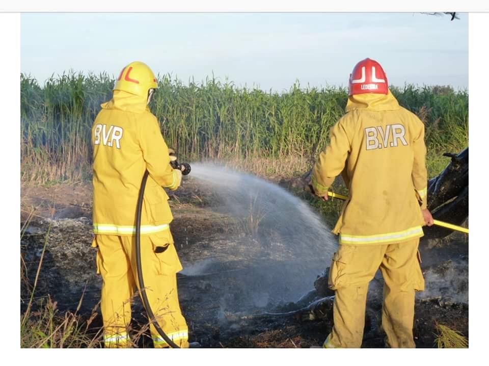 59685190_2428979713780353_3192919082013818880_n