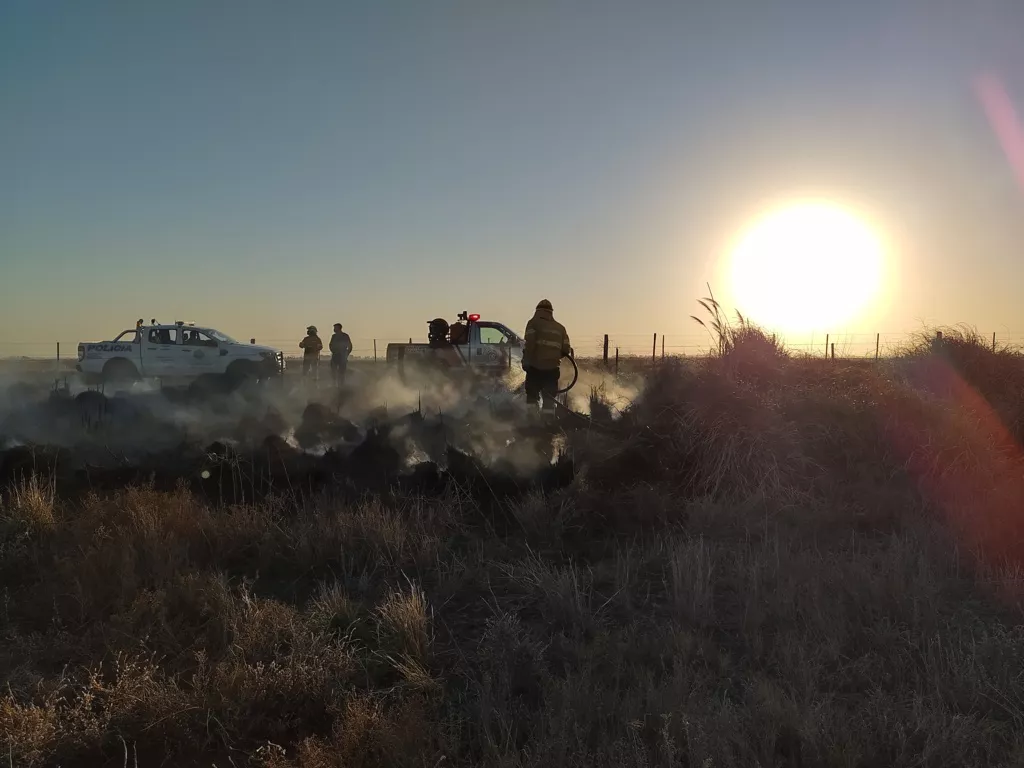 IMG_20210802_175554574_HDR (FILEminimizer)