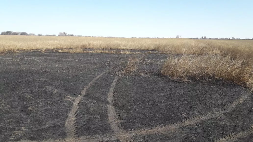 299498402_5689889914355967_4344309998357489929_n