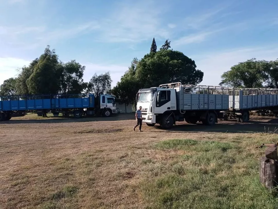 330813123_903161024440615_3845825036898866598_n