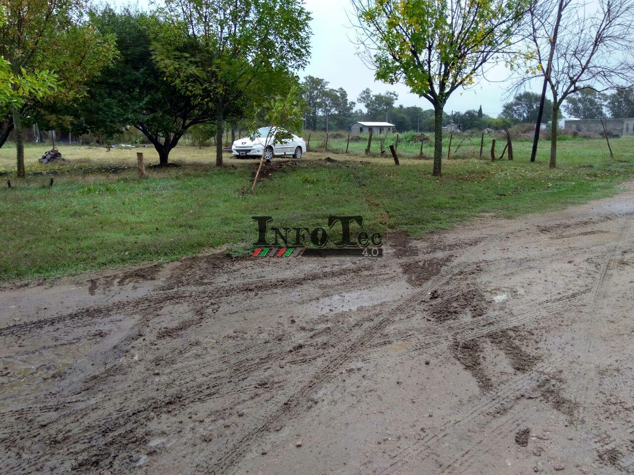 0d8e0c01-0b8d-46da-993f-9439de5c5a40