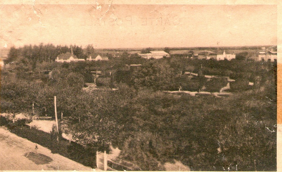 53285518_2974112822602577_7830846719259574272_n