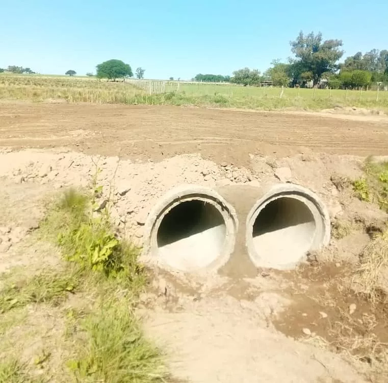 66883_318244412_480979787506539_4188095032563815879_n