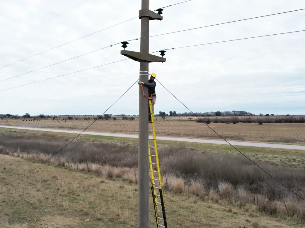 382185_whatsapp-image-2023-08-29-at-17.34.36