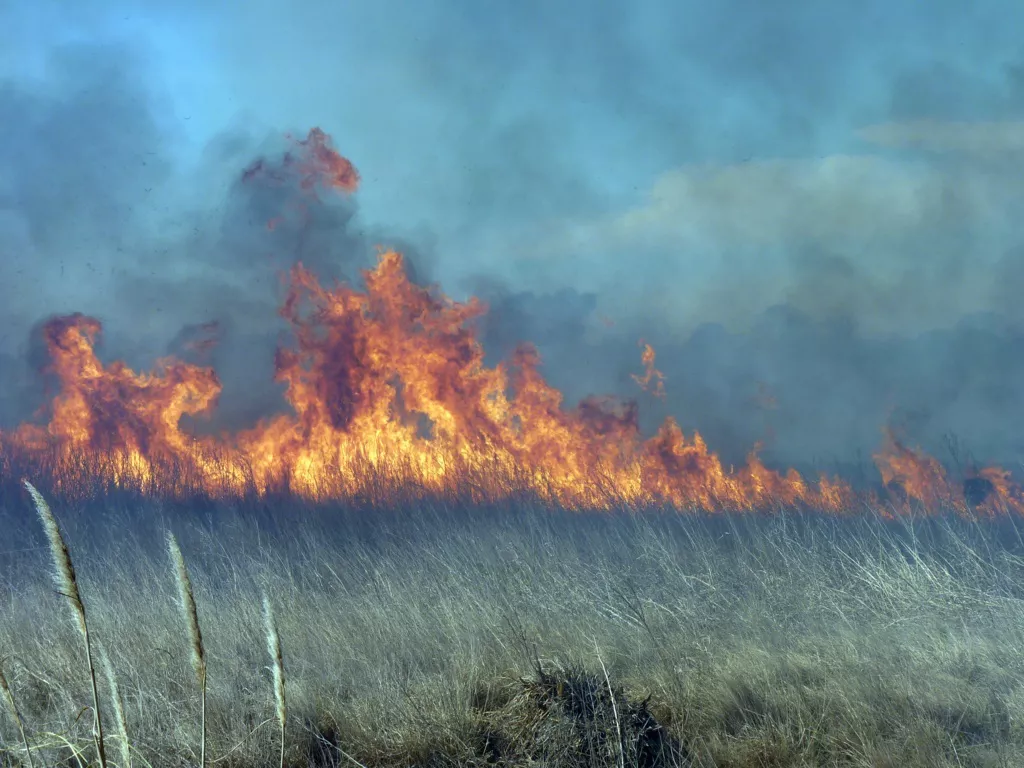 incendio camioneta 7 (FILEminimizer)
