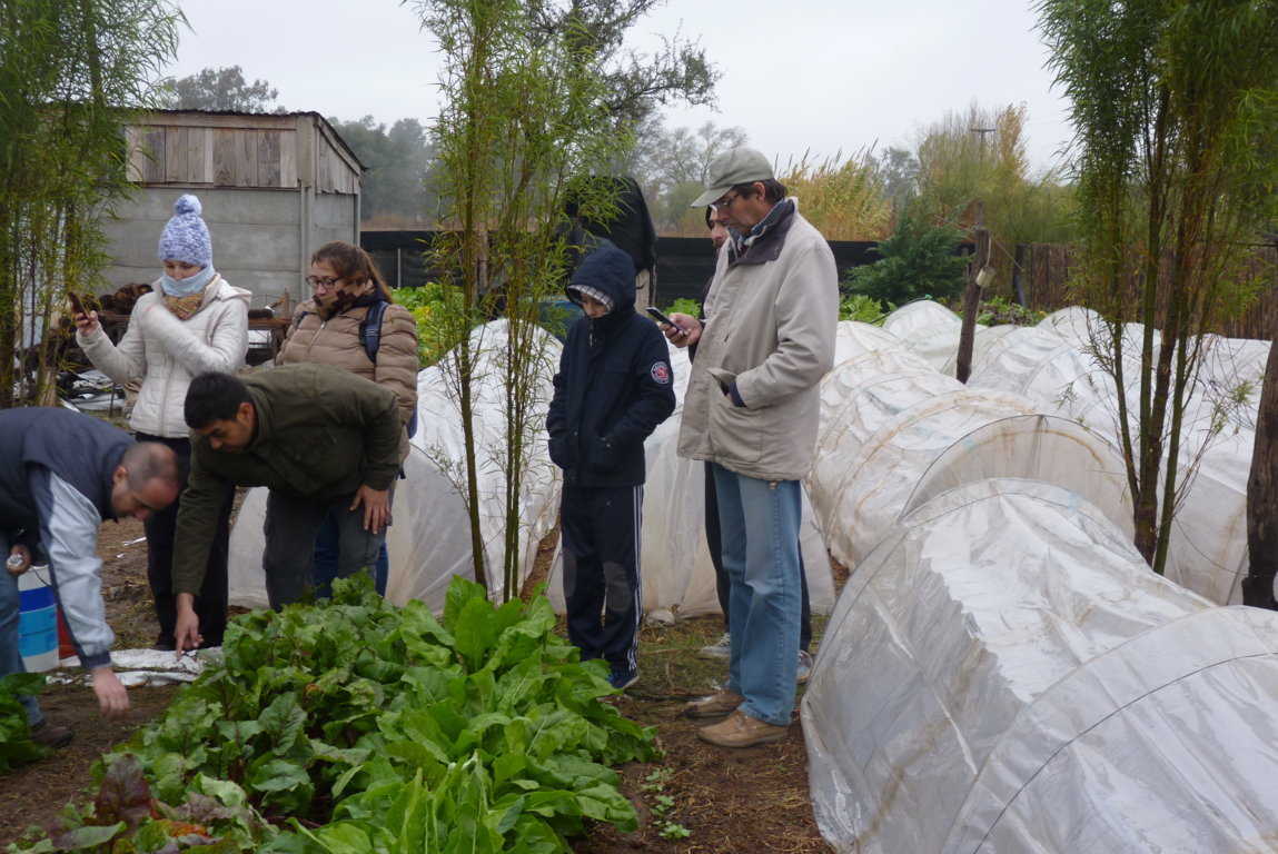 P1370488 (FILEminimizer)