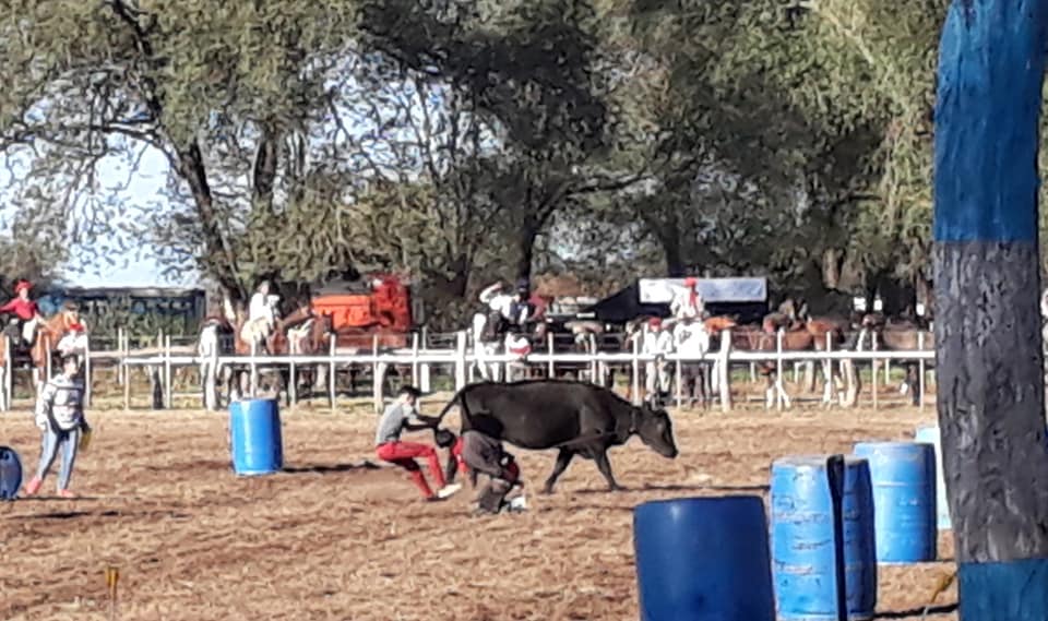 61278595_2464002796944711_2434097879497834496_n