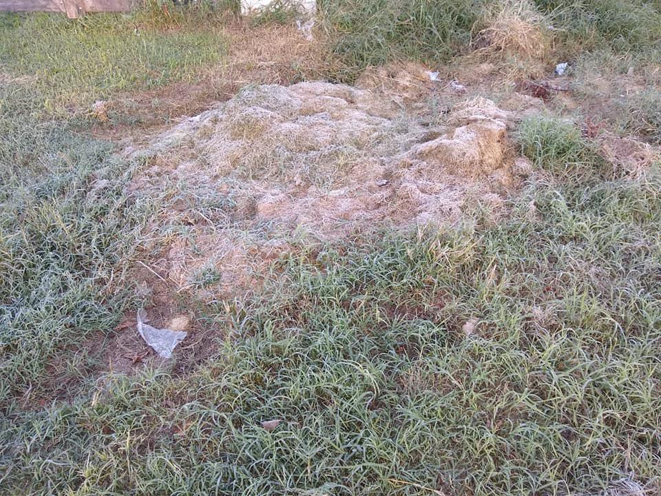 HELADA 7 ABRIL 20 Pico 1