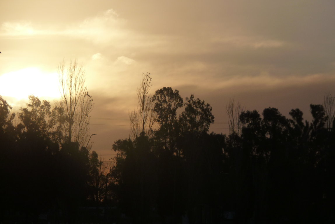 P1390011 (FILEminimizer)