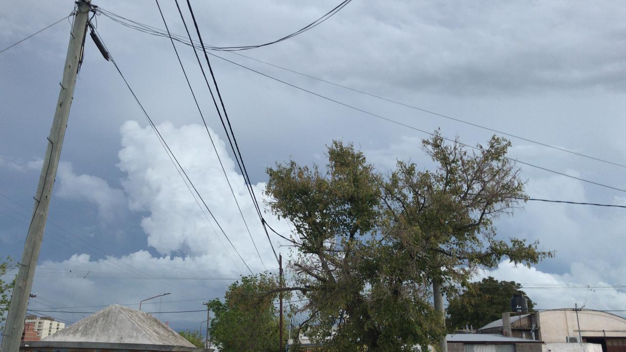 e8d7e84d-5743-4168-b868-f1ae17441987