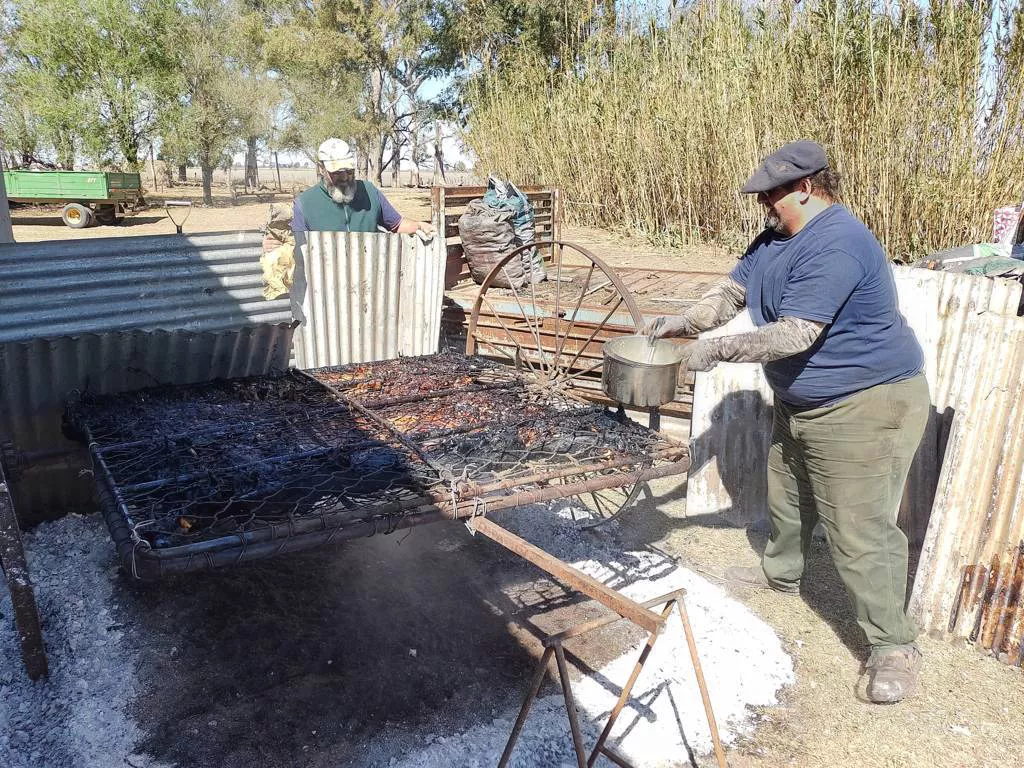 crucianelli 10 (FILEminimizer)