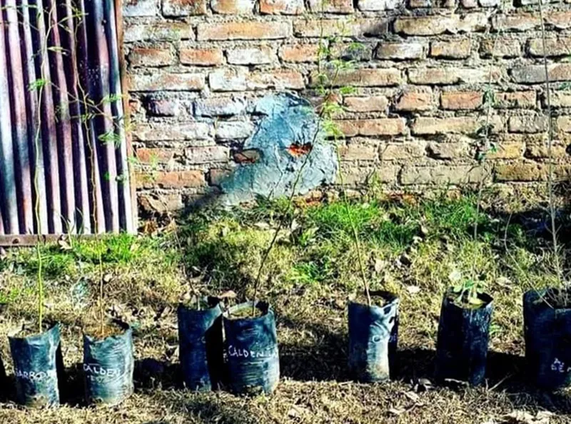 356893295_6710721982272750_72150286294869881_n