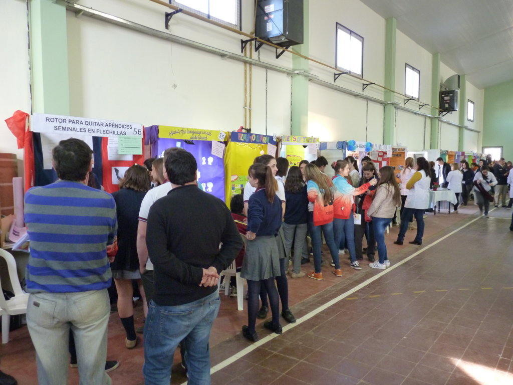 P1250103 (FILEminimizer)