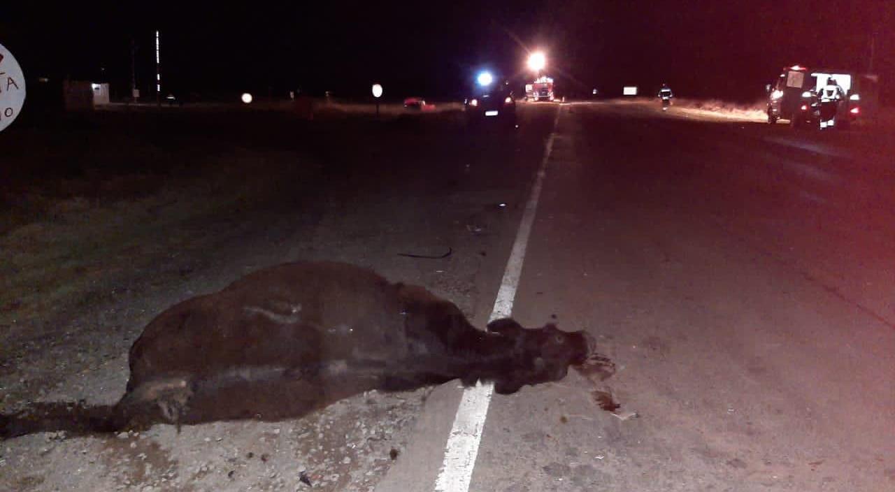 9738c0ea-a158-4f99-afa2-505caaad0552