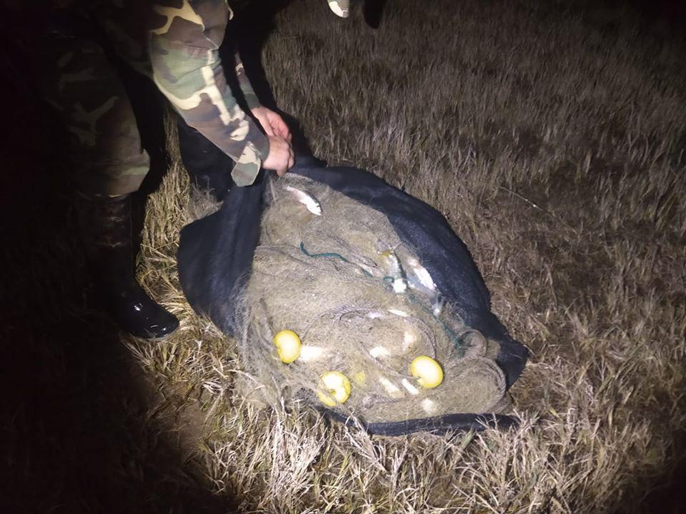 97822111_660821464774424_1251225892898734080_o