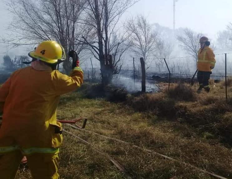 117394292_3459460890732225_3373179054740804122_n