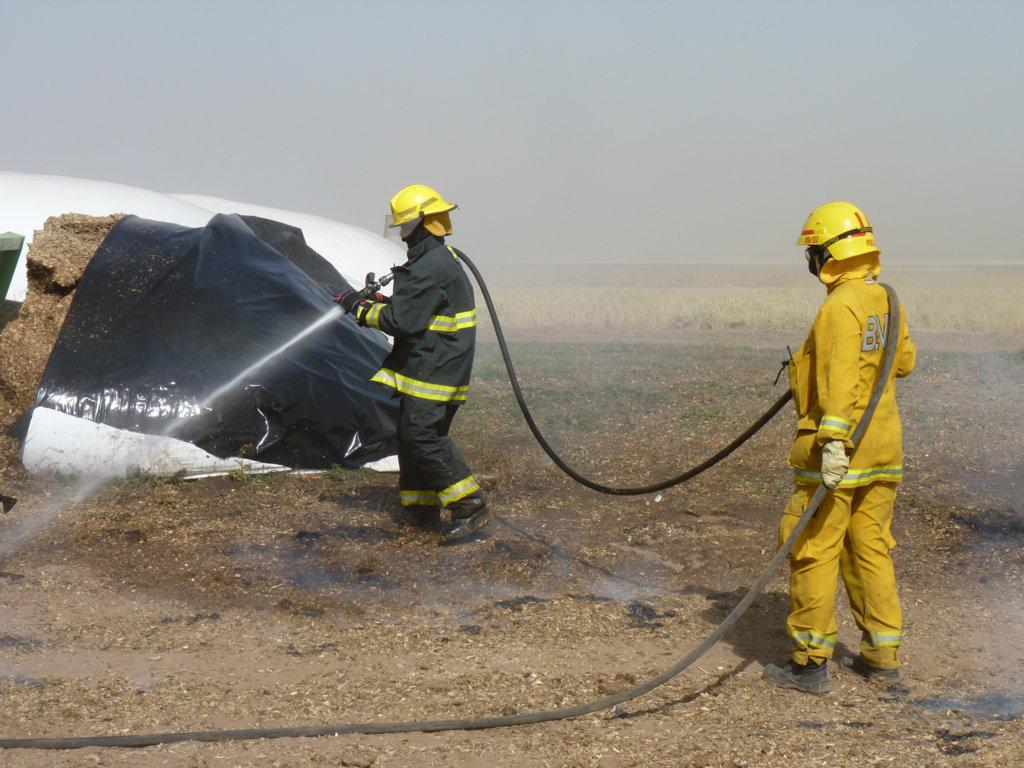 P1050997 (FILEminimizer)