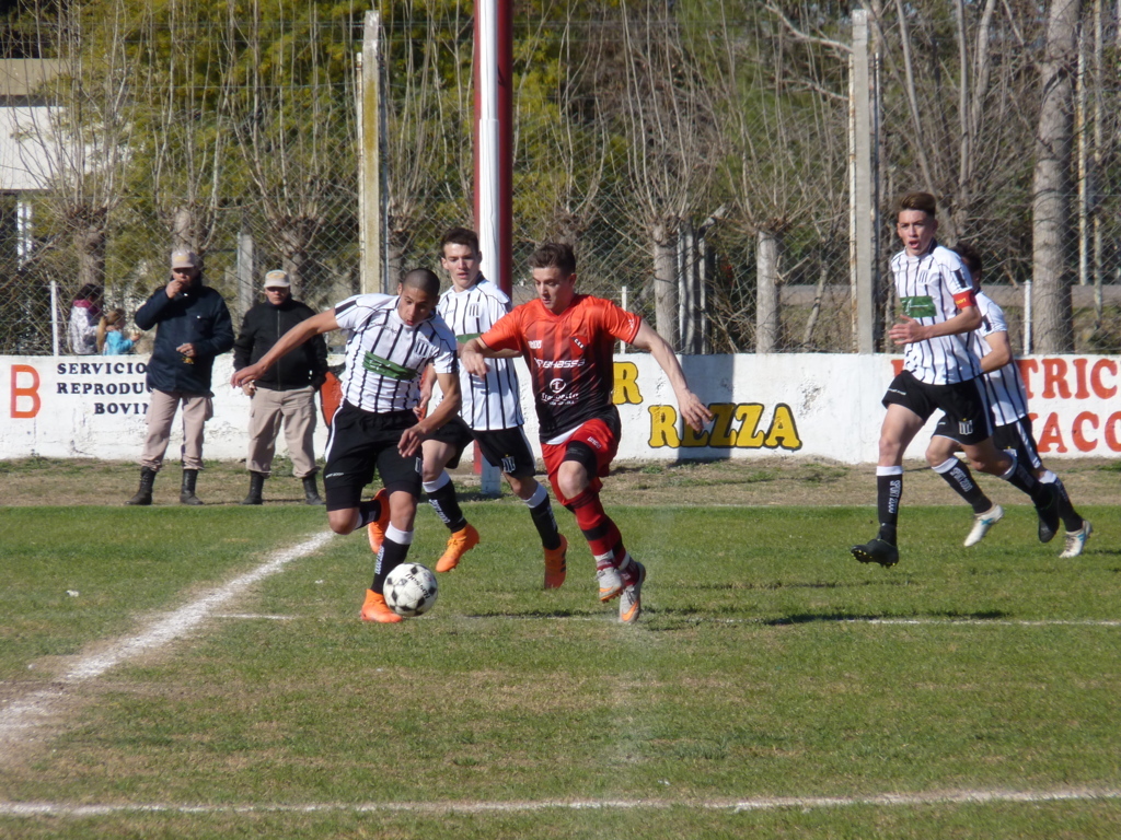 P1250585 (FILEminimizer) - copia