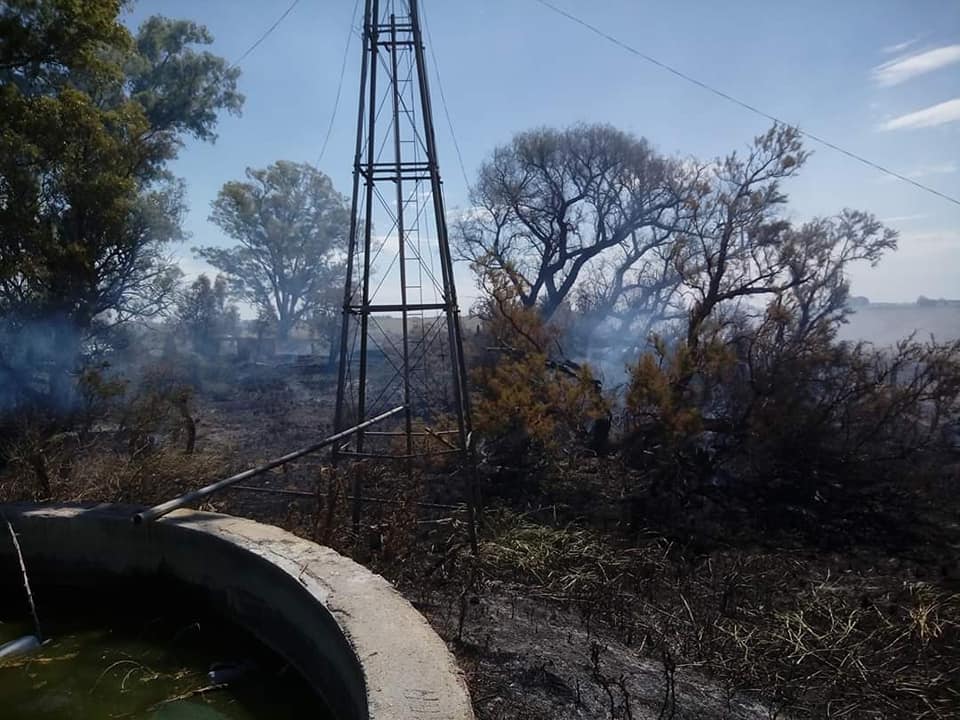 INCENDIO CAMPO PARERA 2