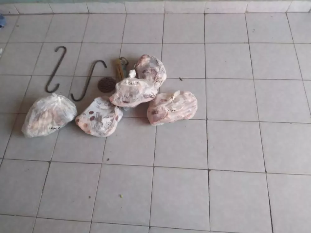 65466_whatsapp-image-2022-12-09-at-14.03.50--1-