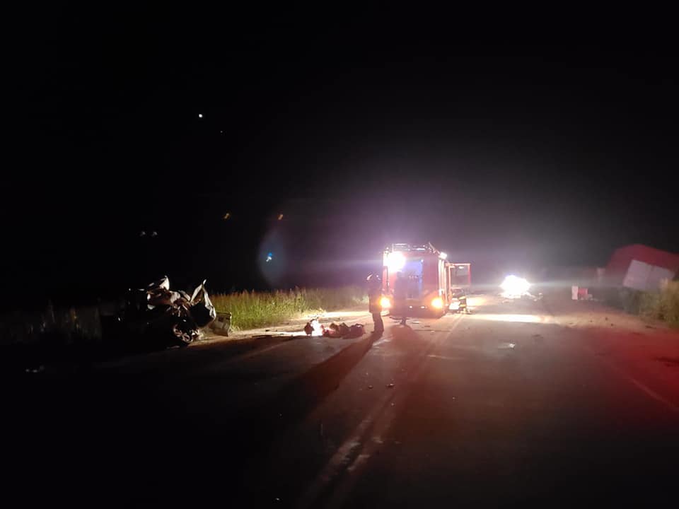 52550185_2322708111350212_8344395026834391040_n