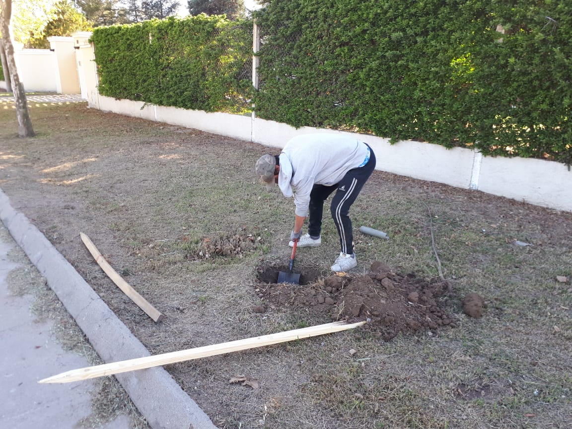 a31b9c45-603e-4aaa-94e7-feb156ab4789