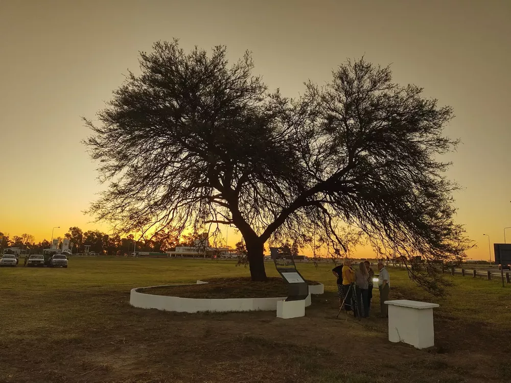 chañar 4 (FILEminimizer)