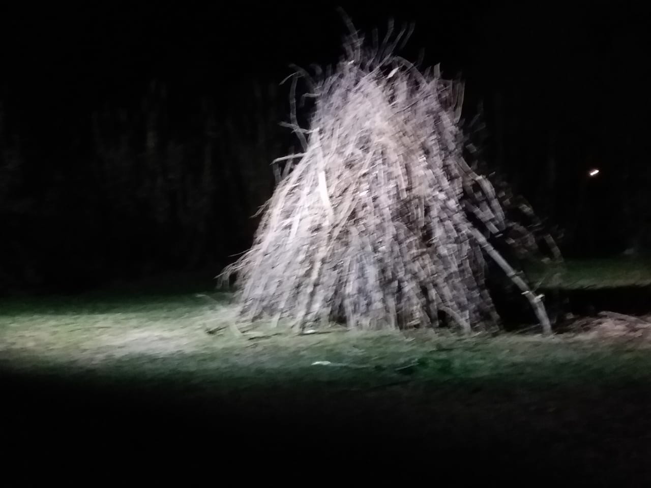IMG-20190701-WA0001