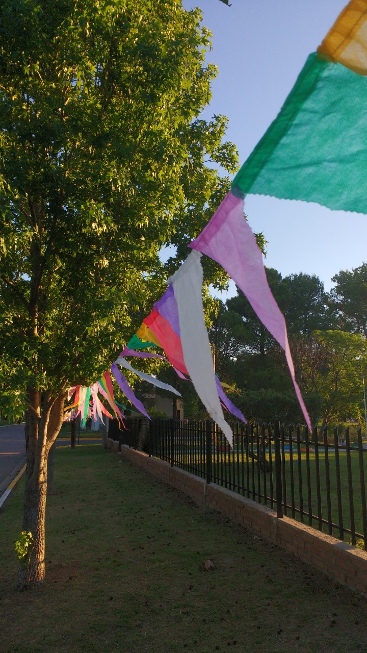 3ff077b6-e4a5-4108-b962-b0adfaec2f67