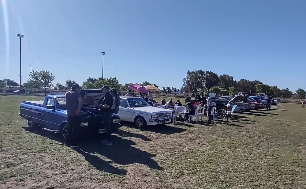 van 3 (FILEminimizer)